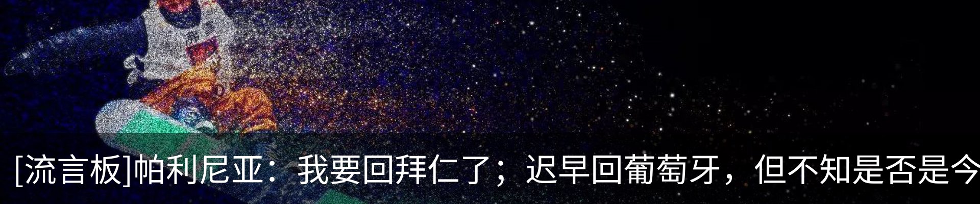 最新动态
